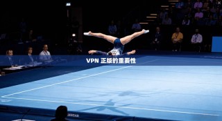 VPN 正版的重要性