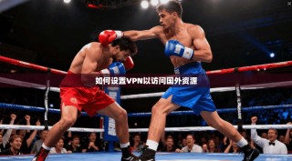 如何设置VPN以访问国外资源
