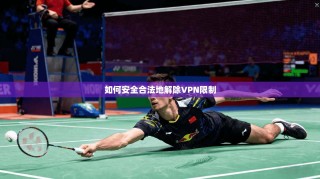 如何安全合法地解除VPN限制