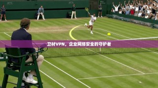 卫材VPN，企业网络安全的守护者