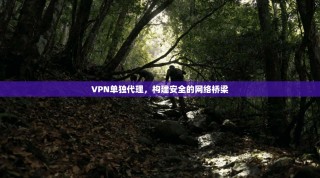 VPN单独代理，构建安全的网络桥梁