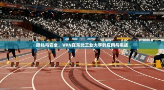 隐私与安全，VPN在东北工业大学的应用与挑战
