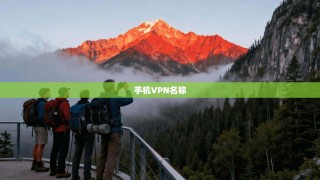手机VPN名称