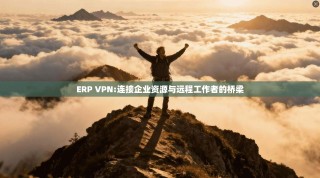 ERP VPN:连接企业资源与远程工作者的桥梁