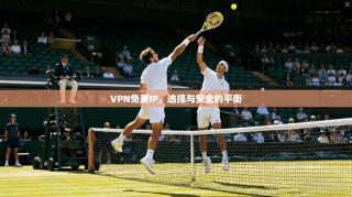 VPN免费IP，选择与安全的平衡