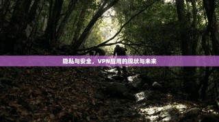 隐私与安全，VPN应用的现状与未来
