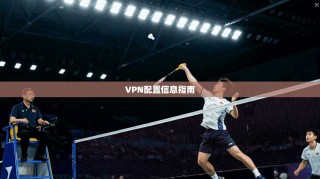 VPN配置信息指南