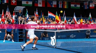 Gmg挂VPN的步骤和注意事项