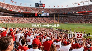 手机开了VPN是什么意思？