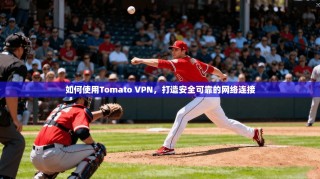 如何使用Tomato VPN，打造安全可靠的网络连接