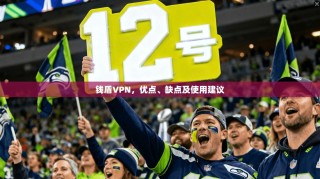 钱盾VPN，优点、缺点及使用建议