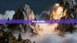 VPN 协议格式