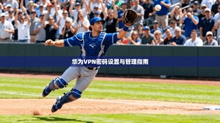 华为VPN密码设置与管理指南