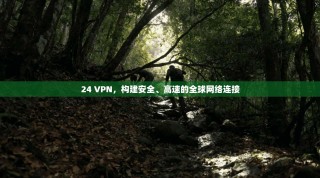24 VPN，构建安全、高速的全球网络连接
