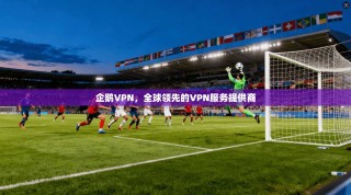 企鹅VPN，全球领先的VPN服务提供商