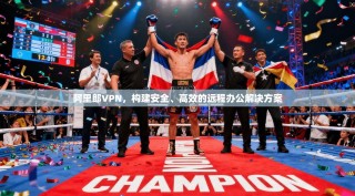 阿里郎VPN，构建安全、高效的远程办公解决方案