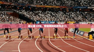 谢公履 VPN，穿越网络的隐形之门
