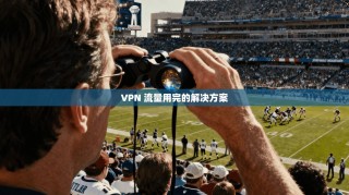VPN 流量用完的解决方案