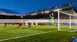 小米VPN密码获取指南