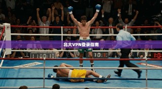 北大VPN登录指南