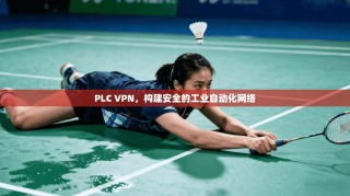 PLC VPN，构建安全的工业自动化网络