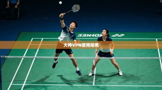 大神VPN使用指南