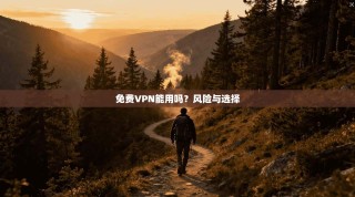 免费VPN能用吗？风险与选择