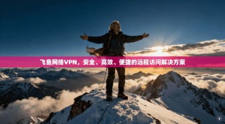 飞鱼网络VPN，安全、高效、便捷的远程访问解决方案