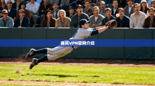 赛风VPN官网介绍