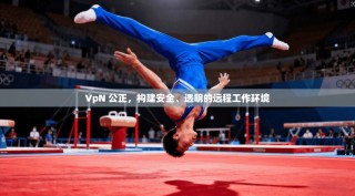 VpN 公正，构建安全、透明的远程工作环境