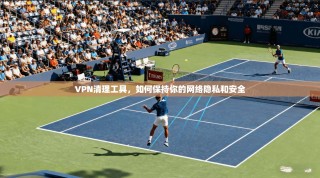 VPN清理工具，如何保持你的网络隐私和安全