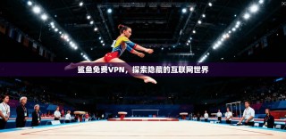 鲨鱼免费VPN，探索隐藏的互联网世界