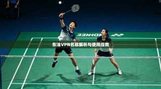 东油VPN名称解析与使用指南