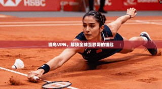 锋鸟VPN，解锁全球互联网的钥匙