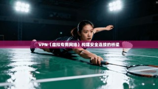 VPN（虚拟专用网络）构建安全连接的桥梁