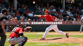 EV VPN，企业级虚拟专用网络的未来趋势