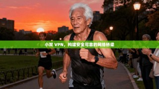 小双 VPN，构建安全可靠的网络桥梁