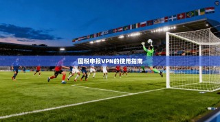 国税申报VPN的使用指南