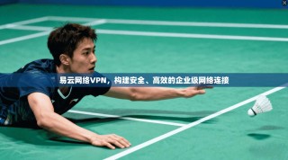 易云网络VPN，构建安全、高效的企业级网络连接