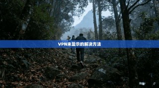 VPN未显示的解决方法