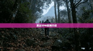 美达VPN官网介绍