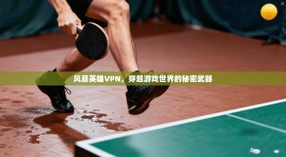 风暴英雄VPN，穿越游戏世界的秘密武器