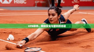 VPN软件，网络安全与便利的桥梁