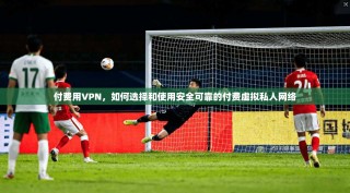 付费用VPN，如何选择和使用安全可靠的付费虚拟私人网络
