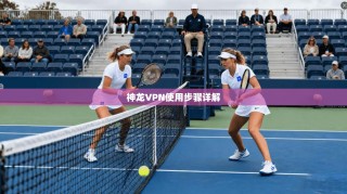 神龙VPN使用步骤详解