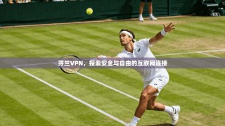 芬兰VPN，探索安全与自由的互联网连接