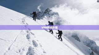 VPN的拓扑图