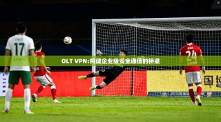 OLT VPN:构建企业级安全通信的桥梁