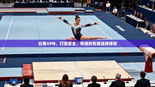 白兔VPN，打造安全、快速的在线连接体验