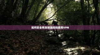 如何安全有效地选择和使用VPN